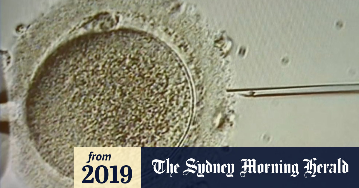 Video Vitamin D could help women get pregnant